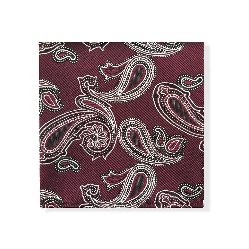 Purple Paisley Tie & Pocket Square Set-2