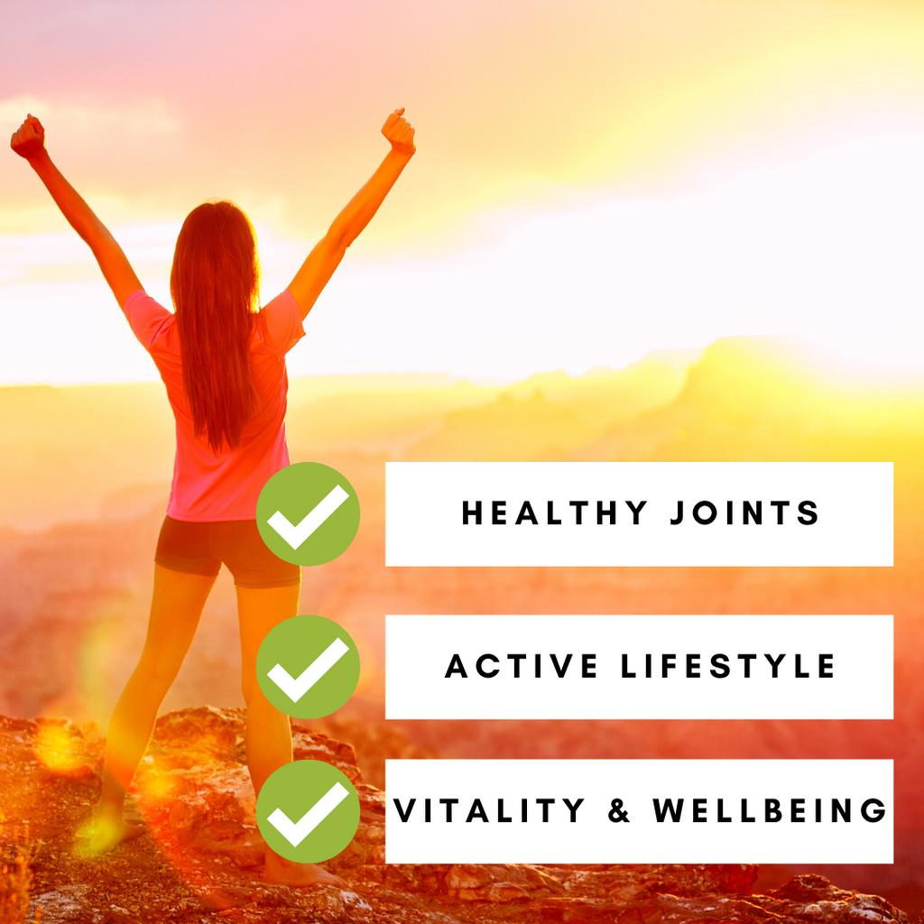 REFILL BAG | Turmeric 95% Curcumin Extract Capsules | 270 Vegan Capsules-2