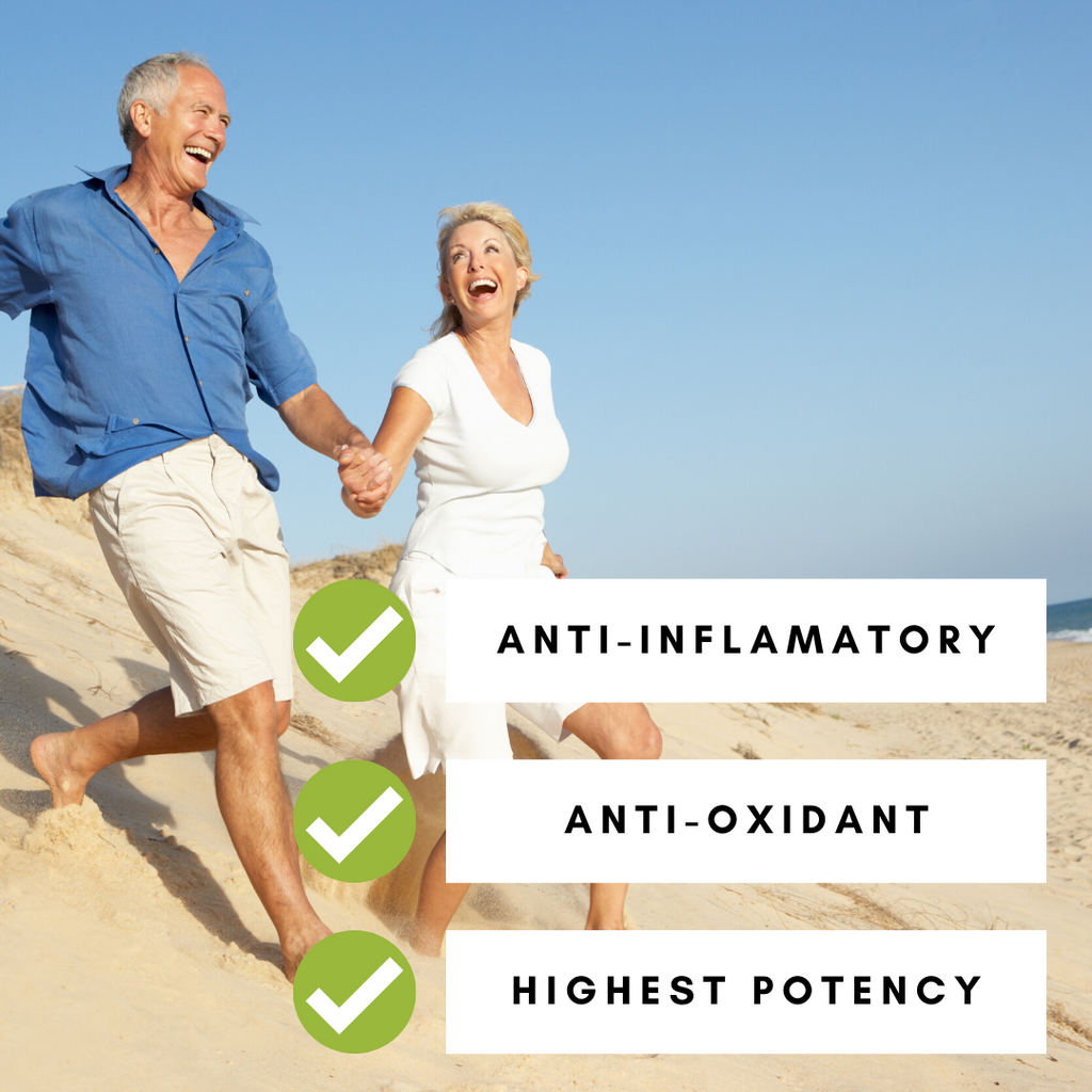 REFILL BAG | Turmeric 95% Curcumin Extract Capsules | 270 Vegan Capsules-3