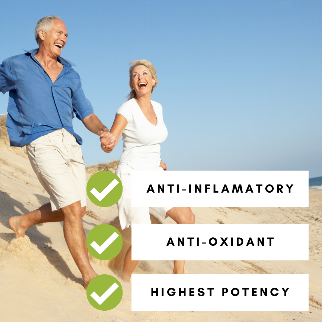 REFILL BAG | Turmeric 95% Curcumin Extract Capsules | 270 Vegan Capsules-3