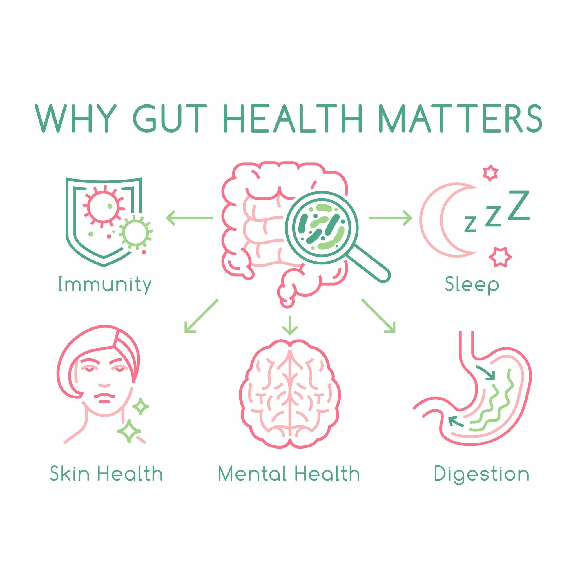 Good Gut Health & Faster Recovery | Fossil Shell Flour, Curcumin, Electrolyte Powder-4