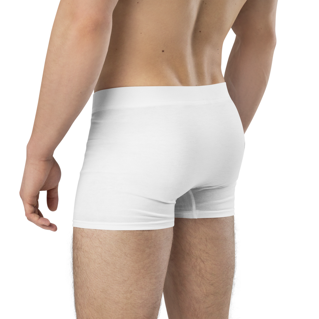 CH®SPORT BRIEFS | UNDERWEAR | 007-4