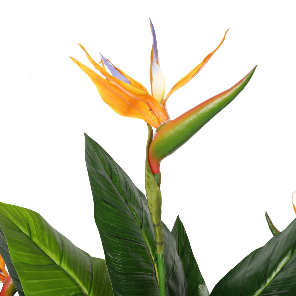 NNEDSZ Potted 150cm Bird of Paradise Plant-1