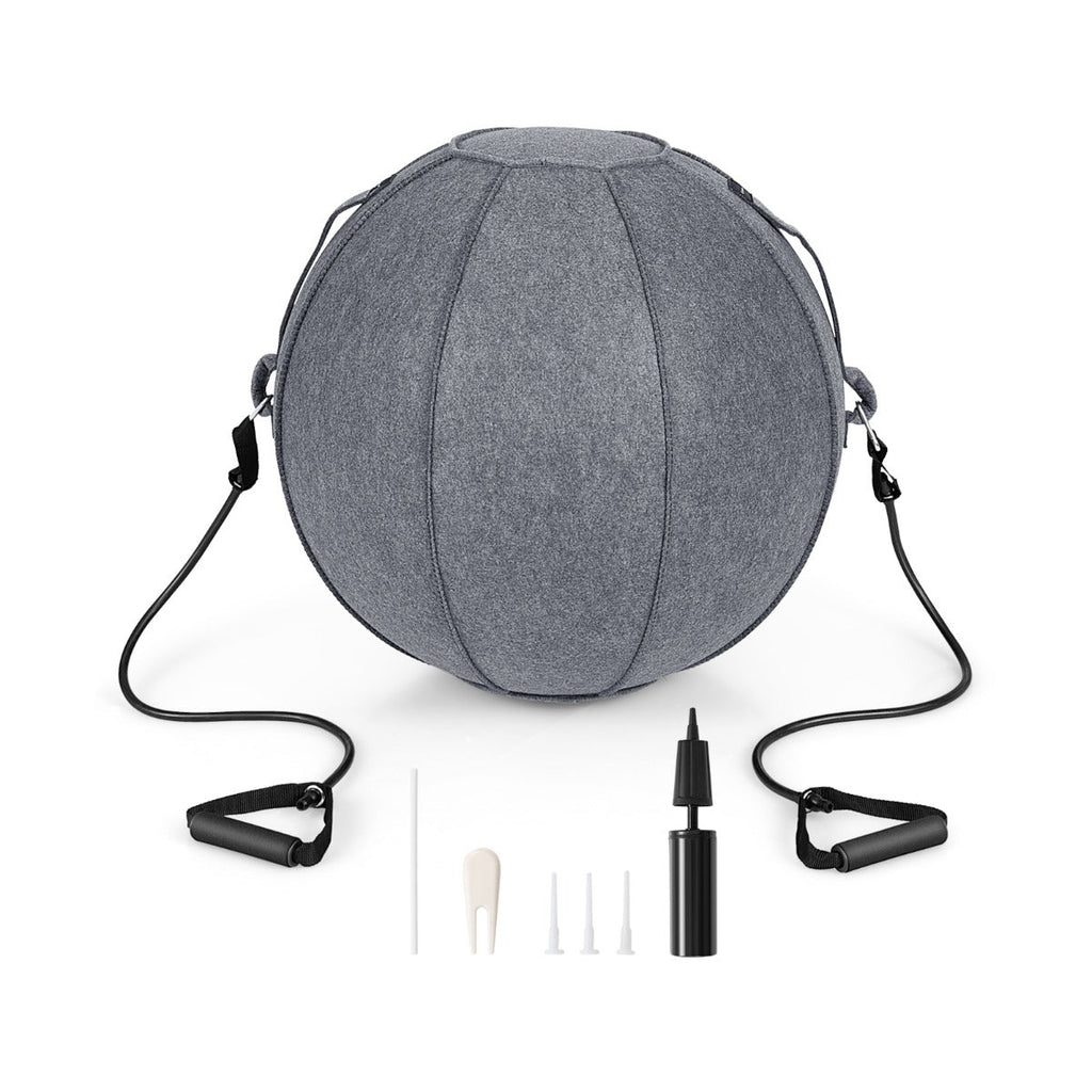 NNECW Pilates Exercise Balance Training Yoga Ball with Handle &amp Pump-Grey-1