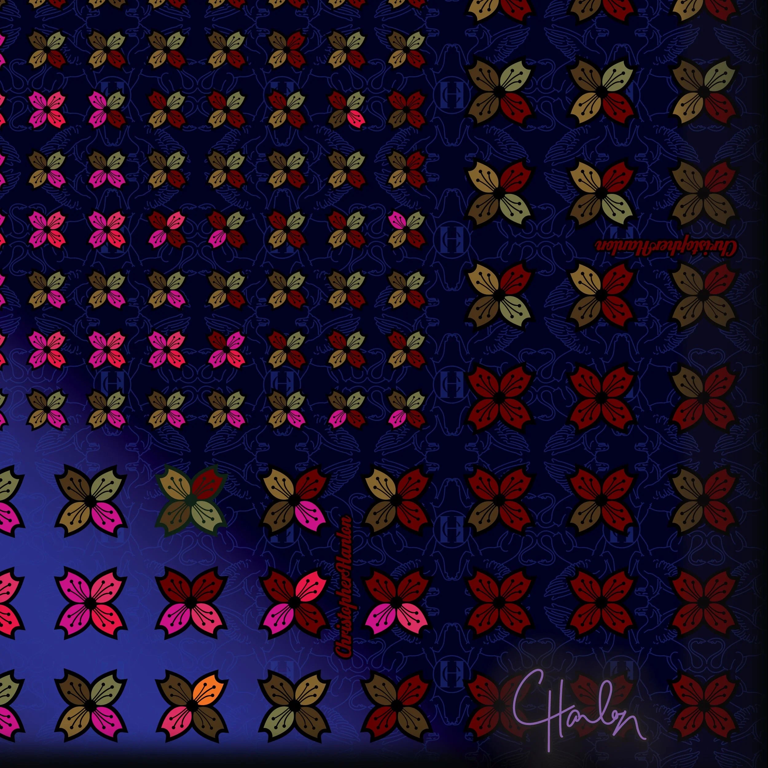 CHRISTOPHER HANLON® Scarf No5 | Chiffon-1