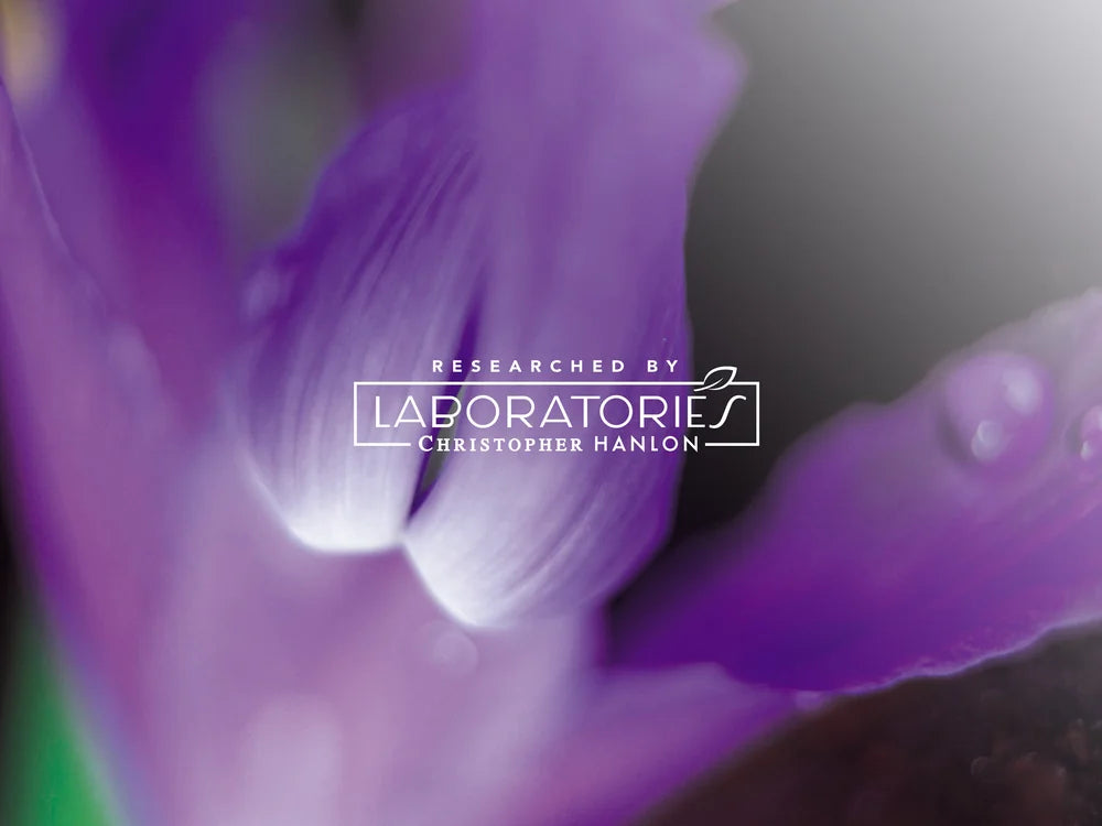 2x QUEENSLAND LIME + GREEN CEDARWOOD | SHEABUTTER HAND WASH + HAND BALM-4