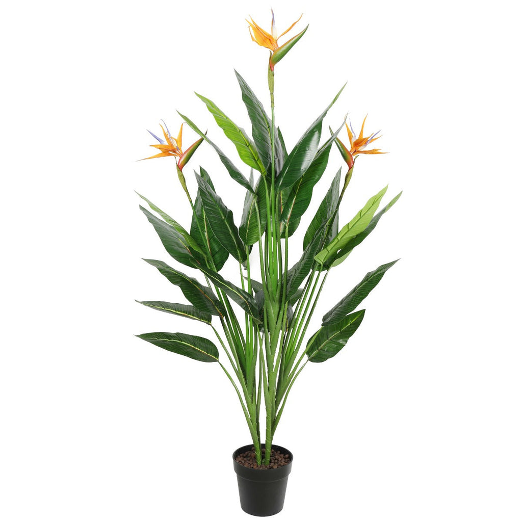 NNEDSZ Potted 150cm Bird of Paradise Plant-0